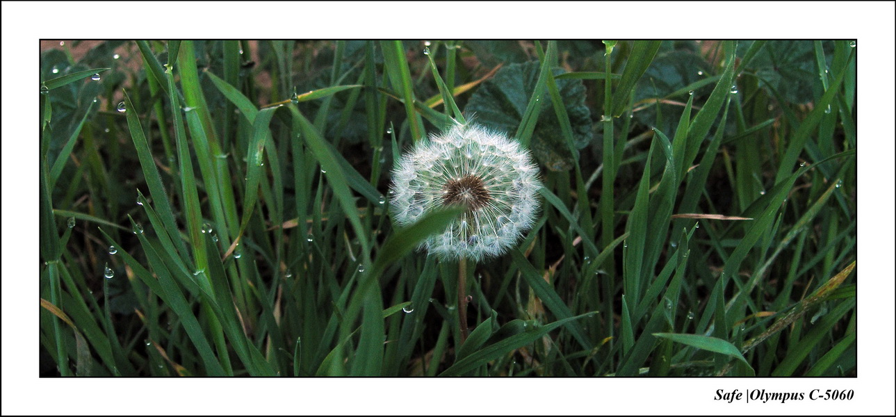 2006 - 05 - Macro 03